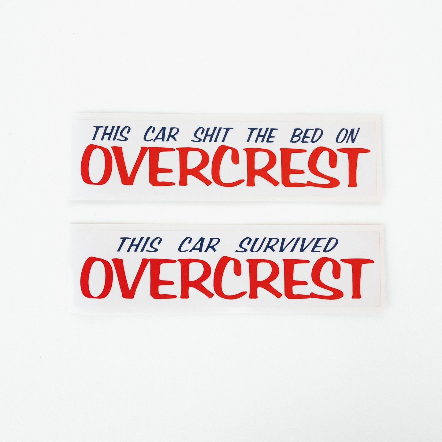 This Car Survived Sticker